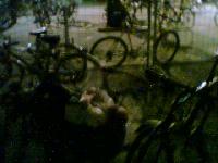 Berg Straßenschläfer