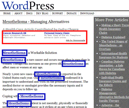 Wordpress Spam
