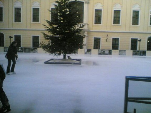 Mi 21.02.2007 16:03 Foto(892)