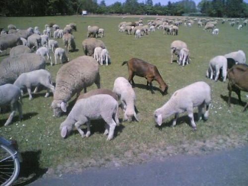 Di 01.05.2007 14:11 Foto(973)