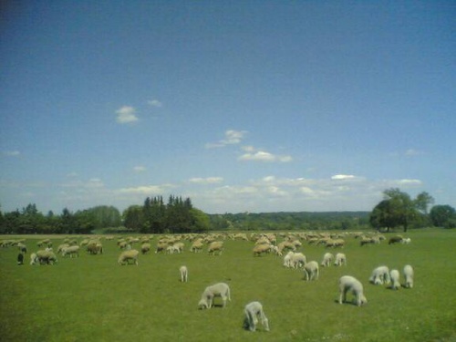 Di 01.05.2007 14:12 Foto(974)