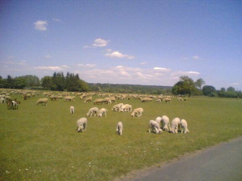 Di 01.05.2007 14:13 Foto(975)